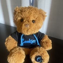 Cookies Hoodie Teddy Bear