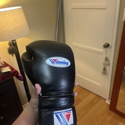 Winning Boxing Gloves