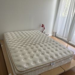 Saatva Mattress