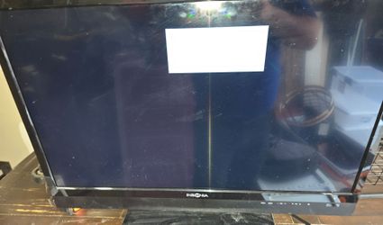 Insignia 29" Television
