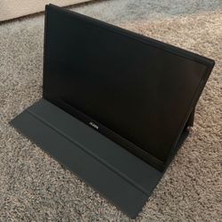 Portable monitor