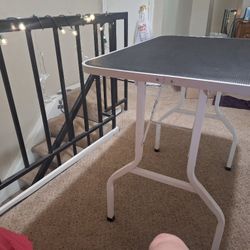 Pet Grooming Table