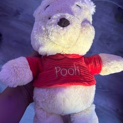 Winnie The Pooh Baby Plushie