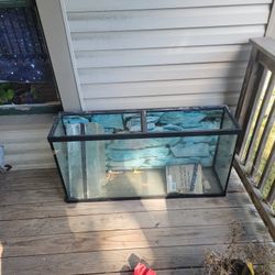 60 Gallon Fish Tank