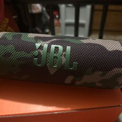 JBL Flip 6 