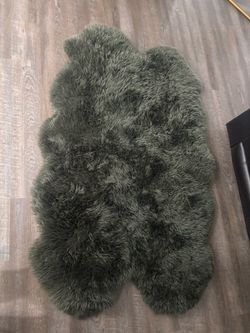 Beautiful sage green rug