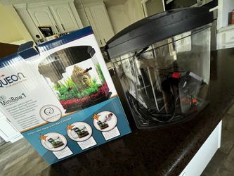 Mini Bowl Fish Tank  Thumbnail