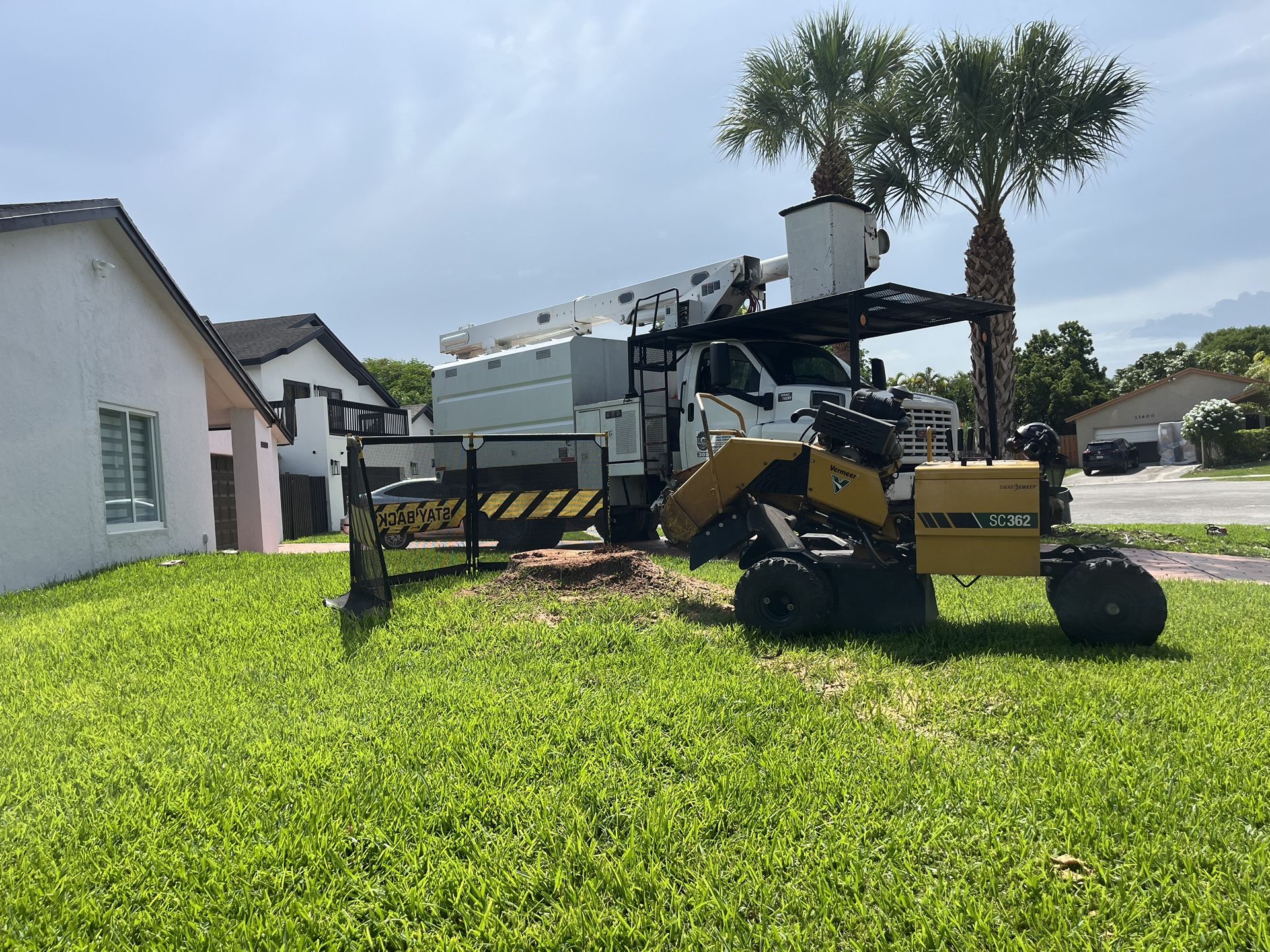 Stump Grinding