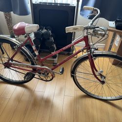 1960’s Schwinn Traveler