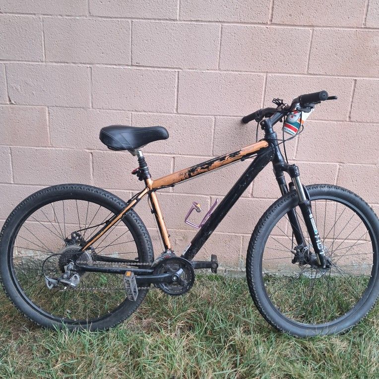 Kent Mountain Bike 