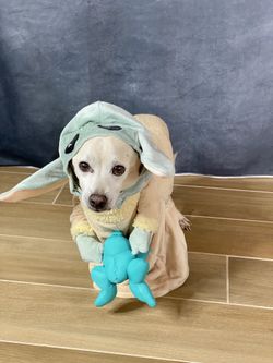  XS Dog “The Child” Costume