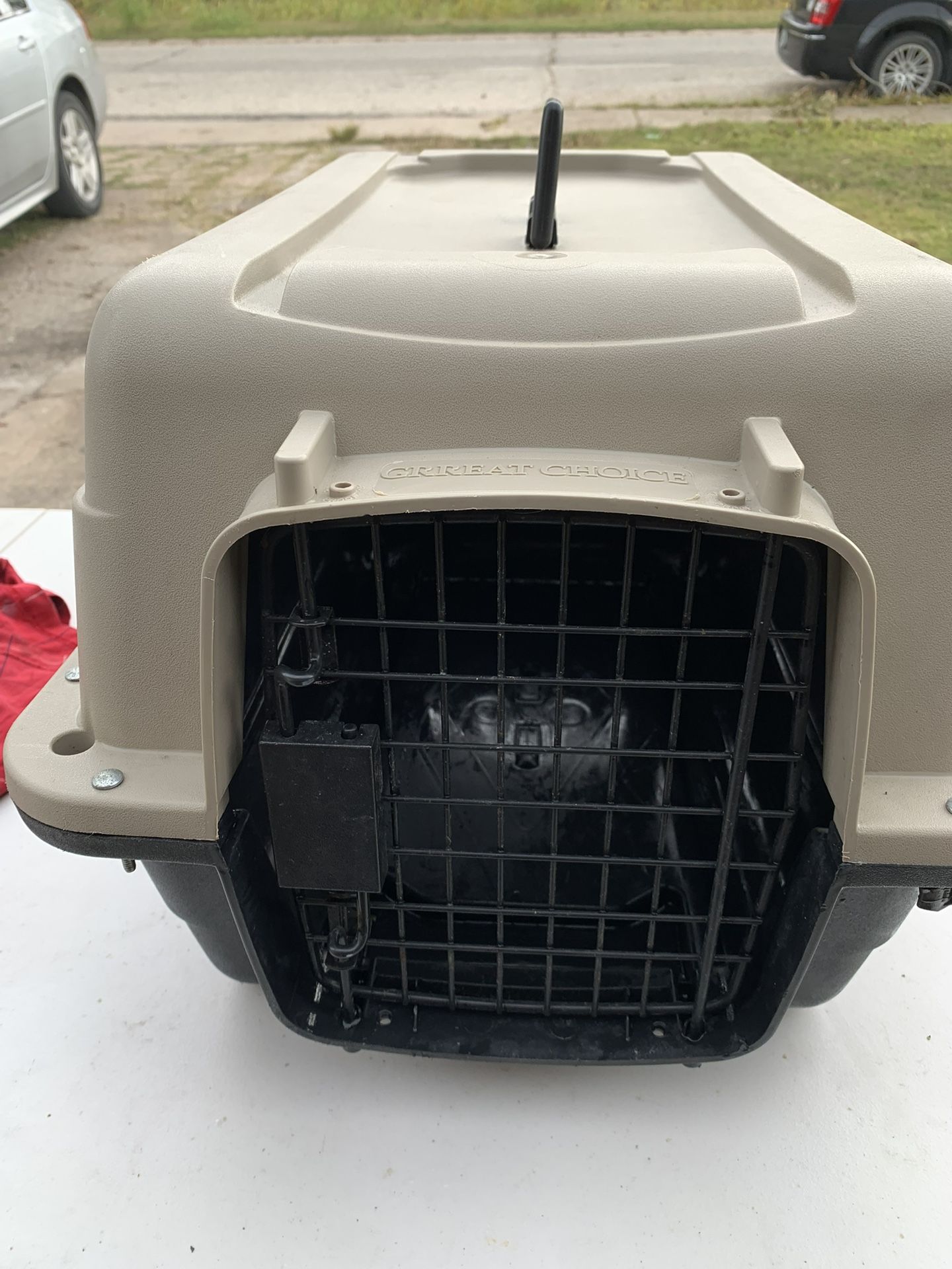 Dog/cat Csrrier Create