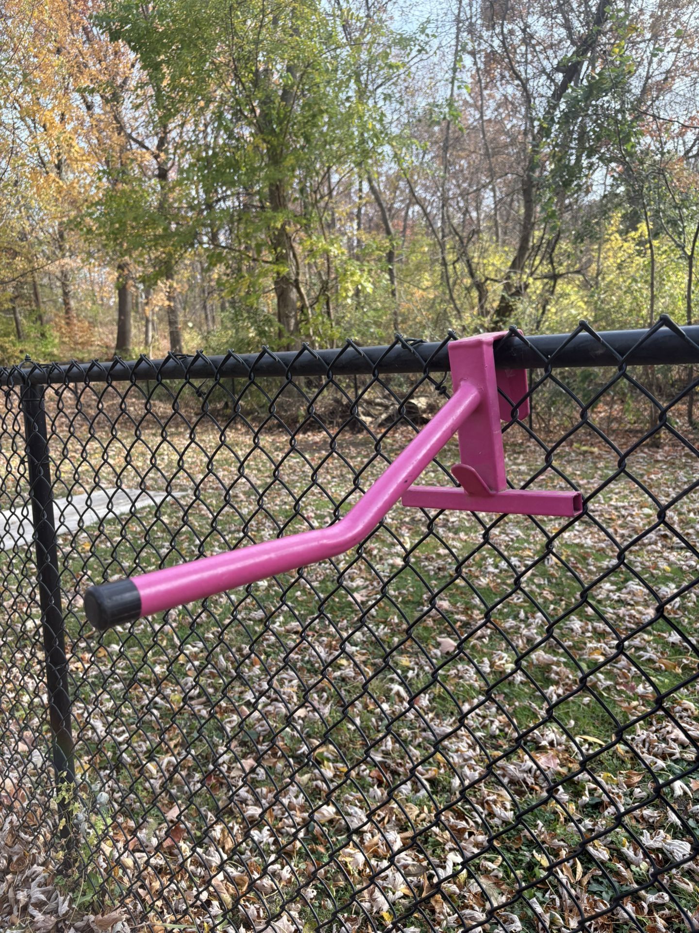 Pink Saddle Rack
