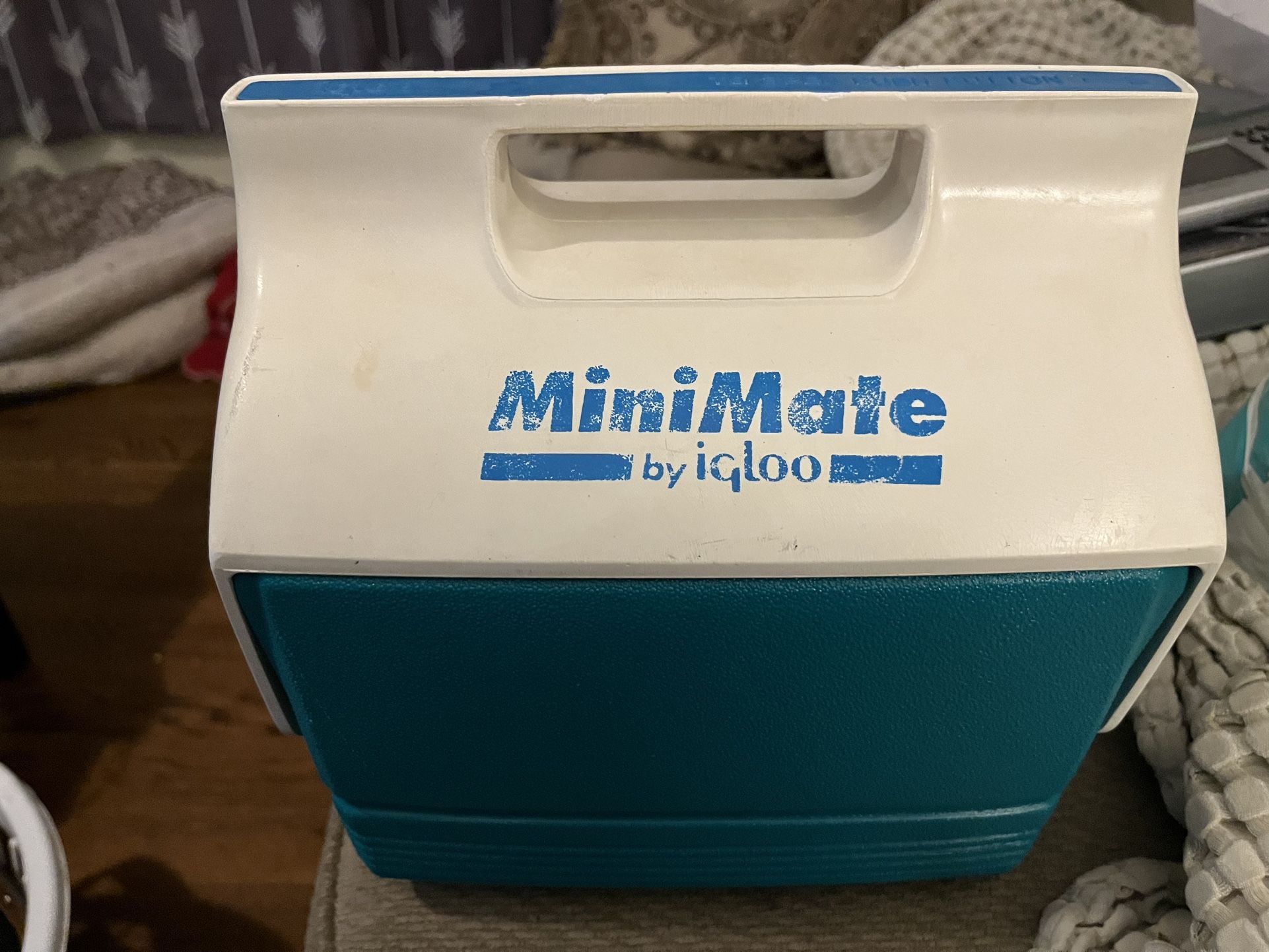 Mini Mate By Igloo $5