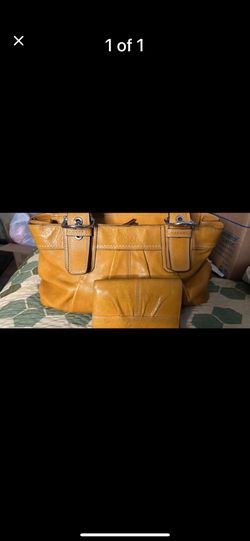 Coach Purse And Wallet