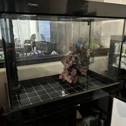   Fish Tank & Stand 