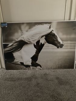 Beautiful Horse Art