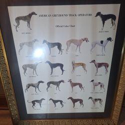 Greyhound Operators Official Chart 