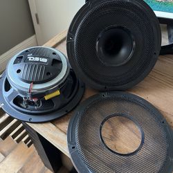 DS18 8inch loudspeaker with horns