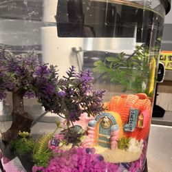 3.5gallon top Fin Beta Fish Tank With Accessories 