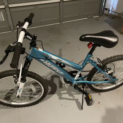Kid bicycle 14’