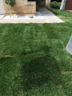 Irragation repairs/real grass/water conservation