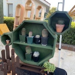 Wood Cactus Shape Display 