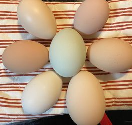 Farm Fresh Eggs