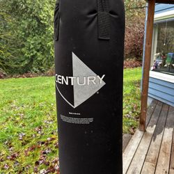 Punching Bag