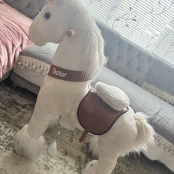 Pony Horse 🐴