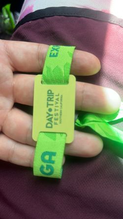 Day Trip Festival 2 day wristband or sunday