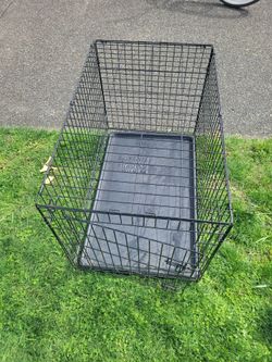 Collapsible dog kennel