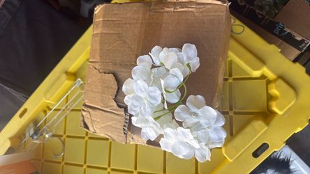 1 unopened box of  SHEIN  flowers white carnations