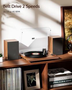 Turntable System