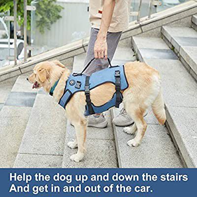 COODEO Dog Lift Harness, Full Body Support , Pet Rehabilitation Lifts Vest Adjustable Breathable Straps for Old, Disabled, Joint Injuries, Arthr