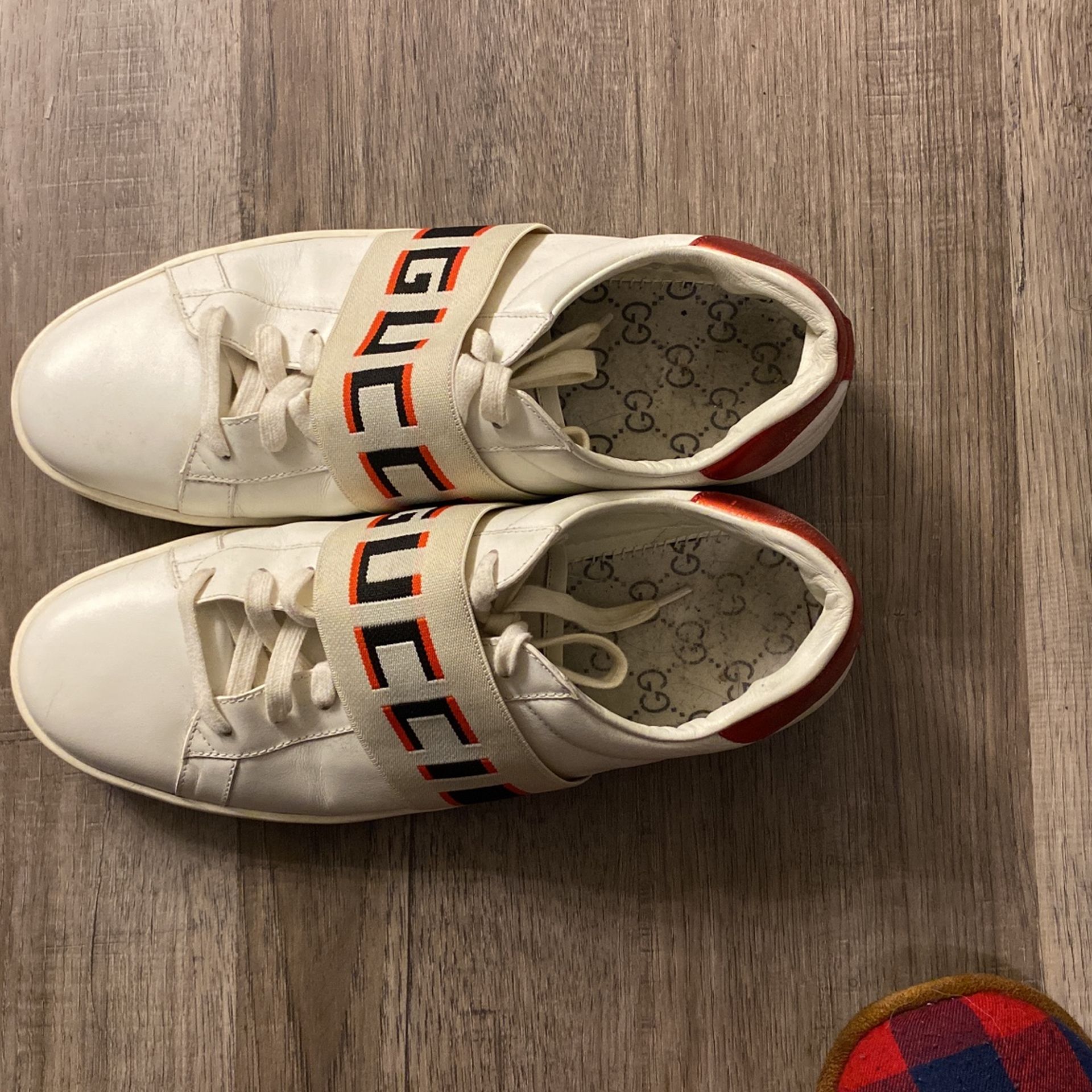 Gucci Men Sneakers Authentic