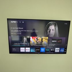 65” Element Roku Tv