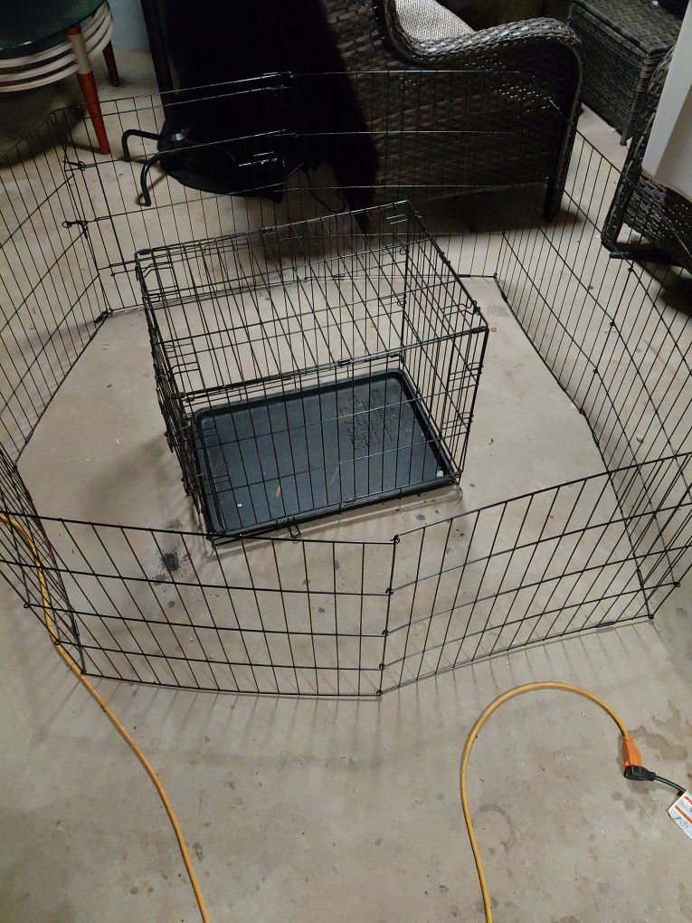 Dog Cage