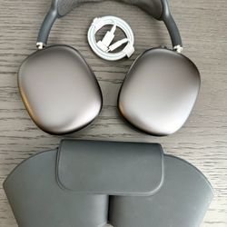 Apple AirPods Max Space Gray Lightning 