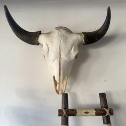 Authentic Bull Skull Wall Mount – Rustic / Western Decor