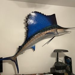 Sail Fish