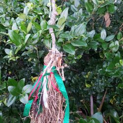 Witch Broom Handmade Handfasting Yule Decor 