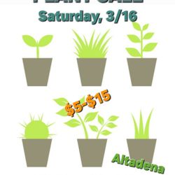 Saturday, 3/16 Come Check Out Grandma's Beautiful Plants