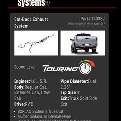 Borla  Cat Back Exhaust System