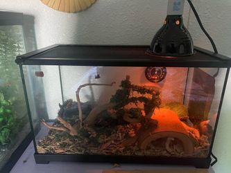 TANK ONLY WITH LAMP