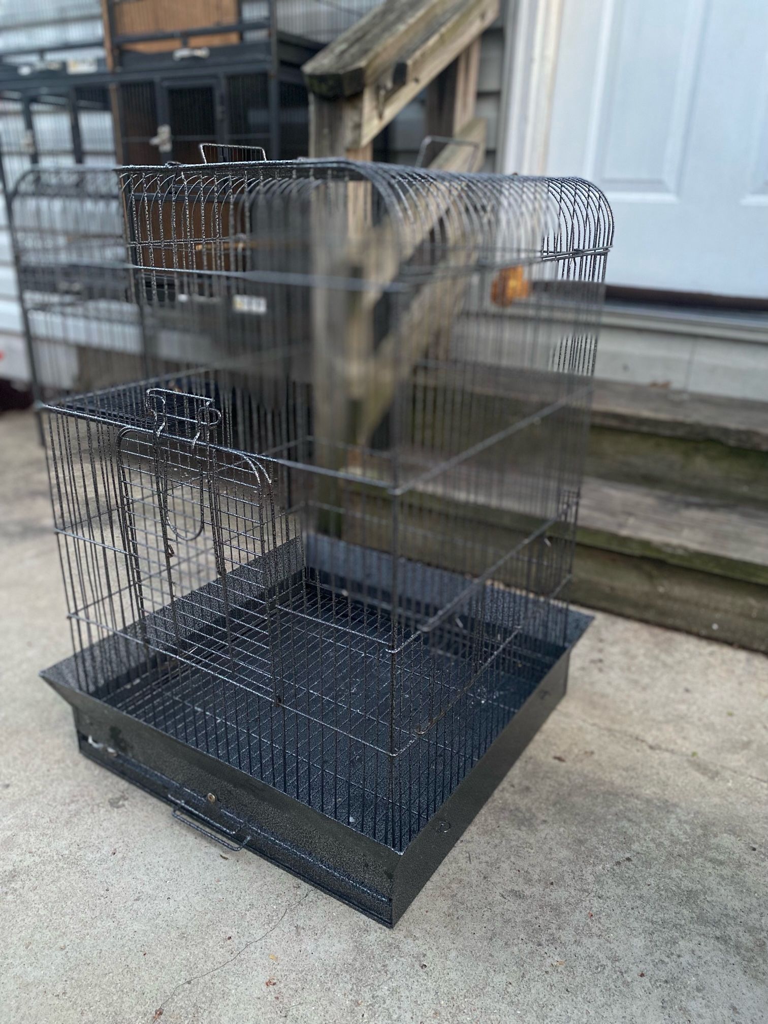 Bird Cage