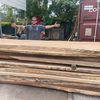 Exotic Live Edge Slabs