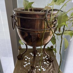 Antique Brass Champagne Bucket with Plant