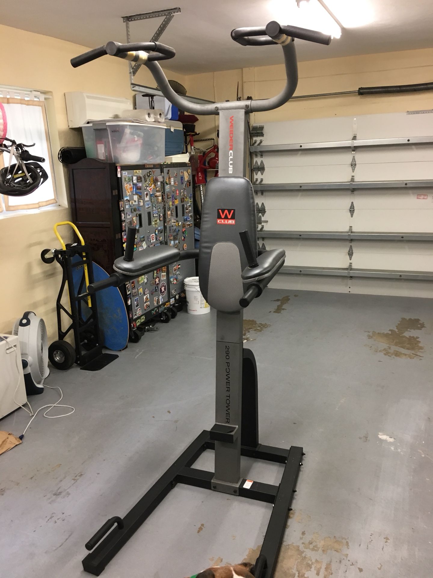 Weider Club 290 Power Tower