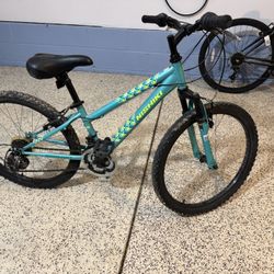 Nishiki Mountain Bike